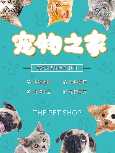 《寵物之家圖片 不僅僅是展示，更是溫暖的視覺共鳴與用品銷售策略》